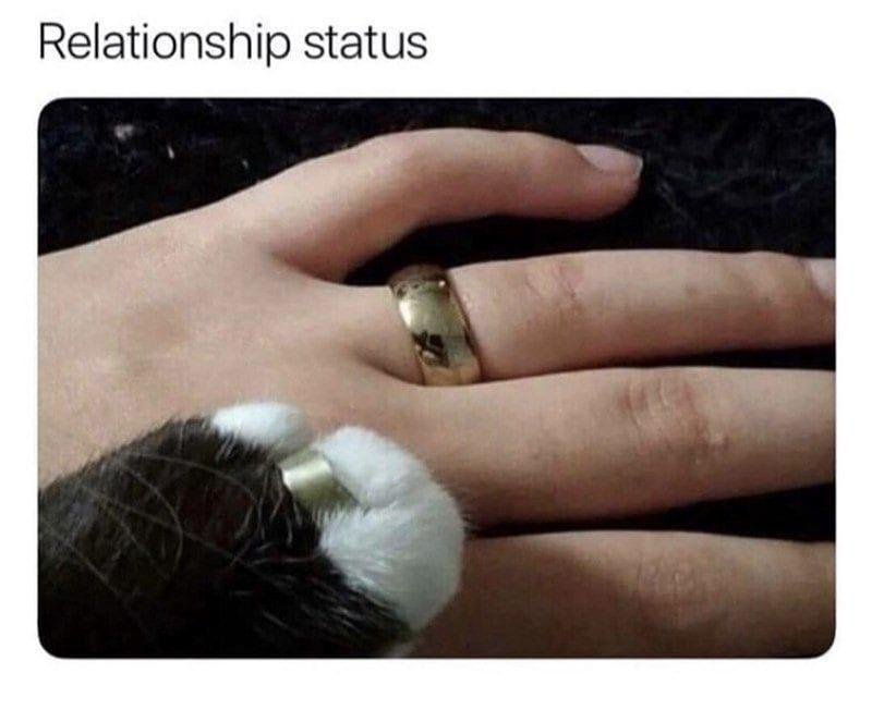 Found this Pin....could not stop laughing!!! Ya feel me...almost peed.