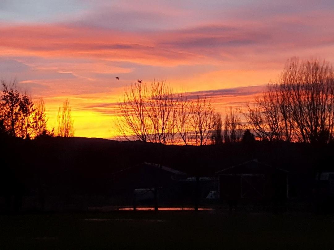 Beautiful sunset colors tonight...with ducks😎