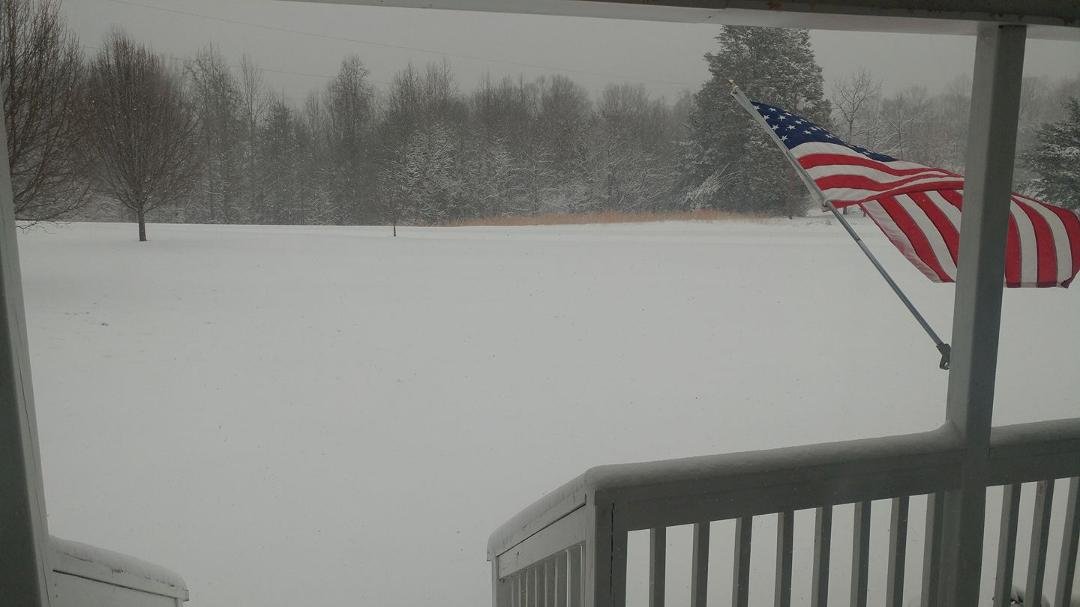 Looking out the front door