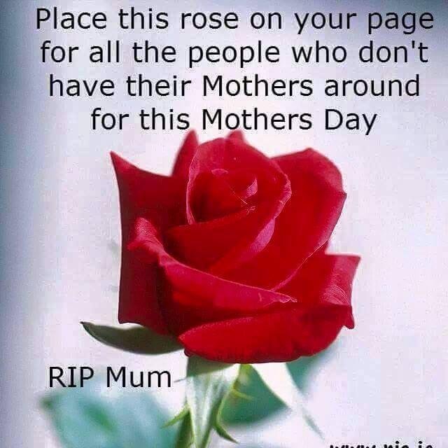 Keith Moore's album, Timeline Photos