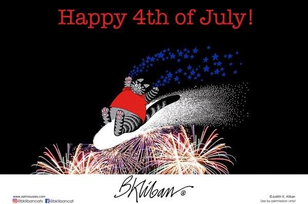 I am very happy to be an American. And sometimes very dismayed, disgruntled and furious, but still.  Very, very happy.  Happy New Year USA