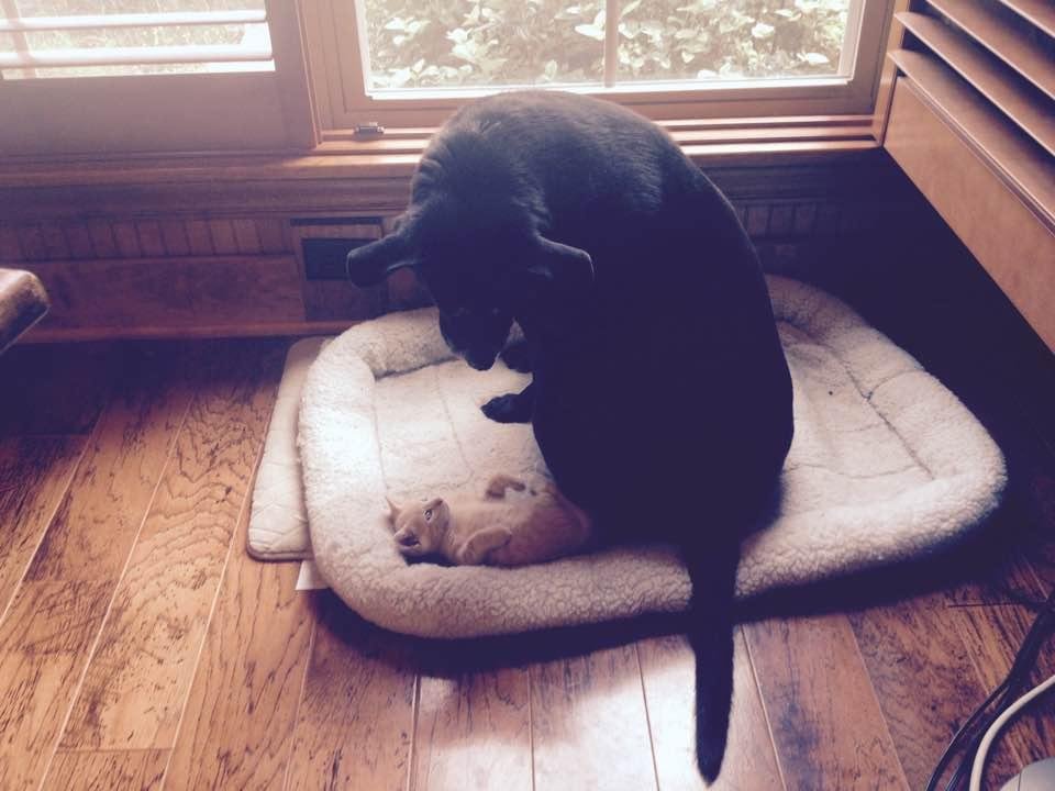 It doesn't seem that long ago Coco was wondering who is Fritz?