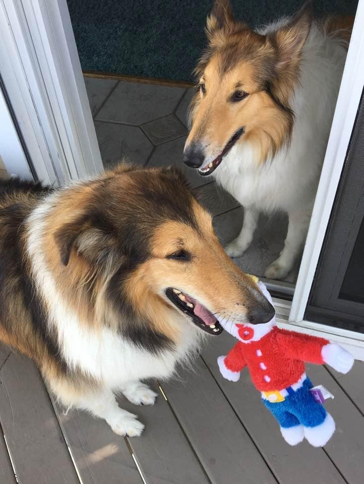 My beach buddies play with their new "Mr. Bill" doll.