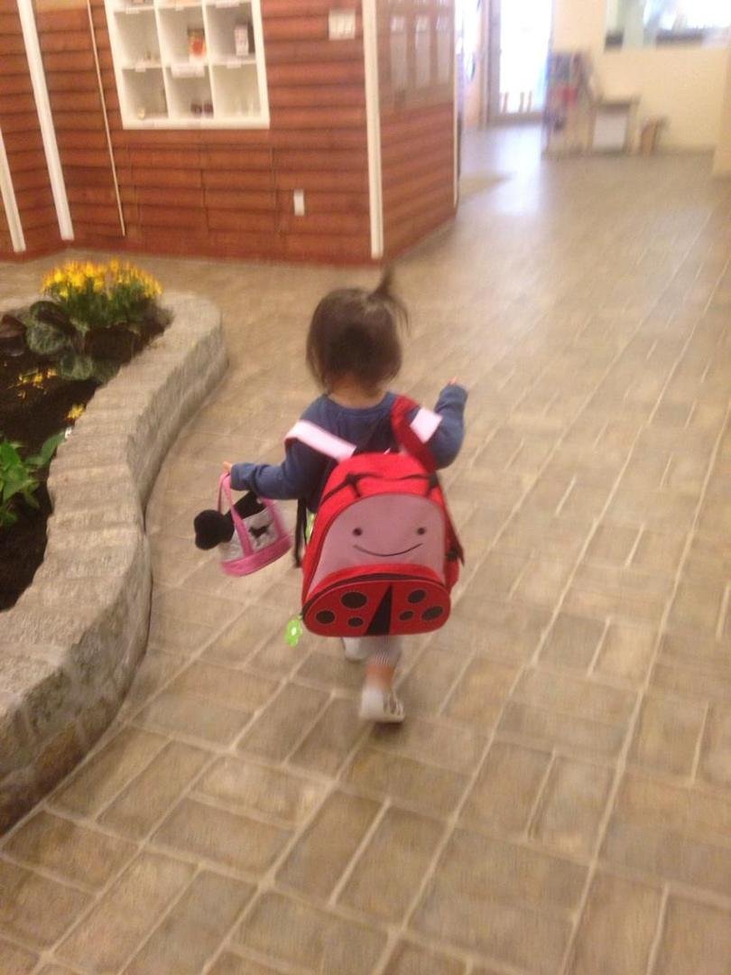 School