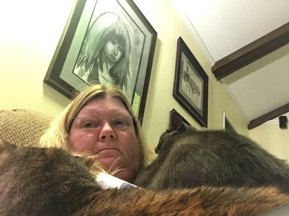 Help I've become a cat bed!