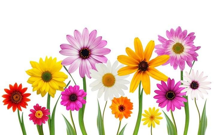 Happy Valentines Day to all my Family and Friends. Have an enjoyable day.