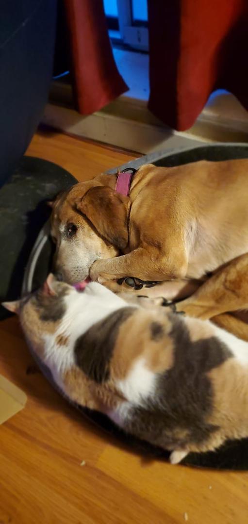 Collin Chalcraft's album, Timeline photos