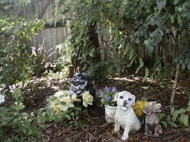 GOLDIE NIGEL, SHEP/HUSKY ELI & CAT BEEZIE [LIVED 21 YRS. WITH US].