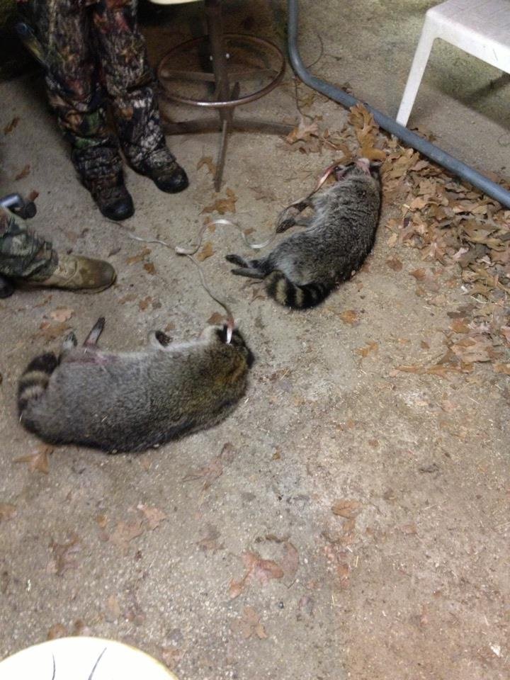 At deer camp in Naples boys coon hunting adventure