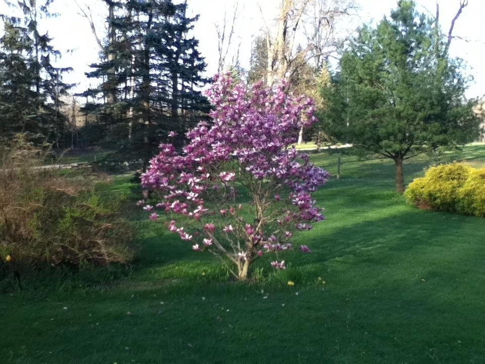 Dean Stevens' album, Timeline Photos