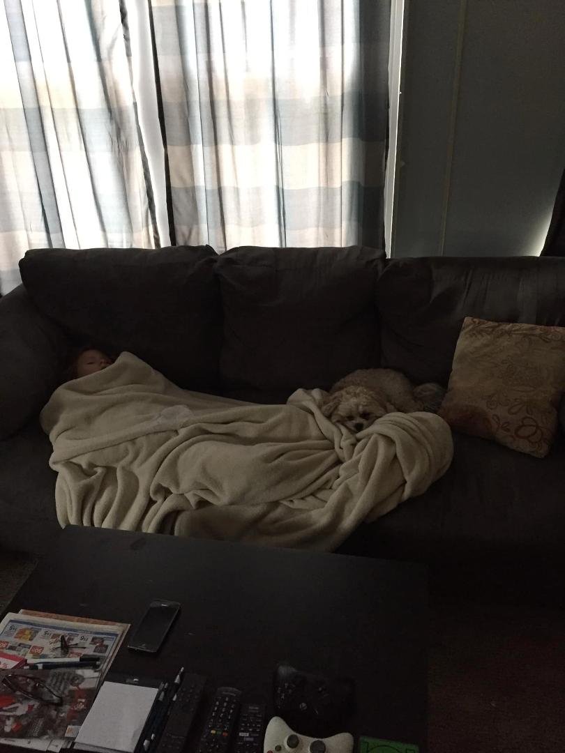 Michael Hall's album, Mobile Uploads