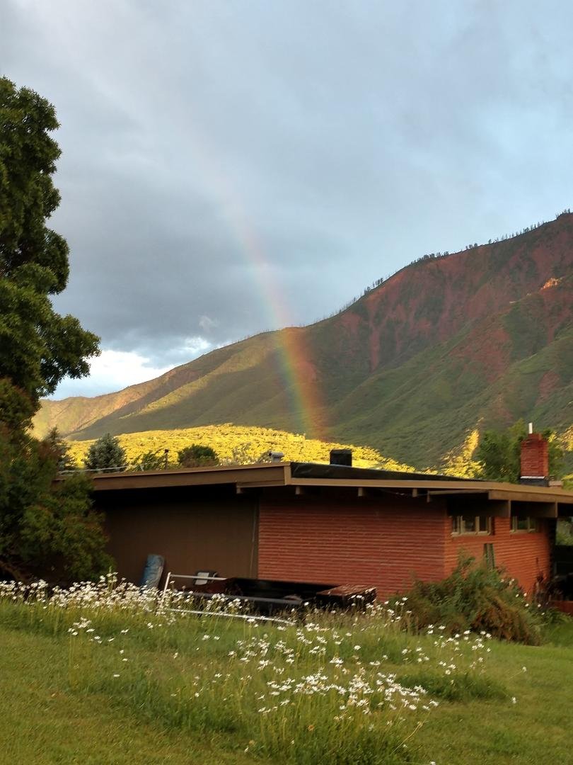 Beautiful rainbow this evening over the daisies in the yard after a large 10 minute hail/rain/wind storm. God is good...All the time.