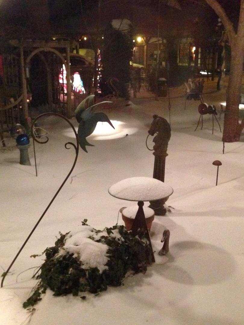 Snowy yard - last night.