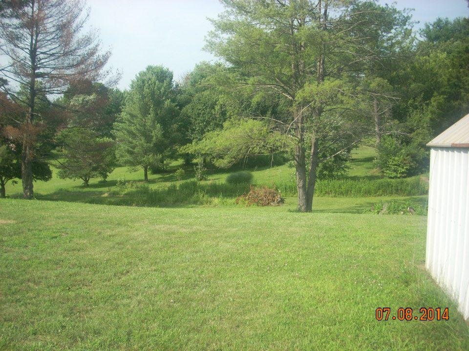 Back yard