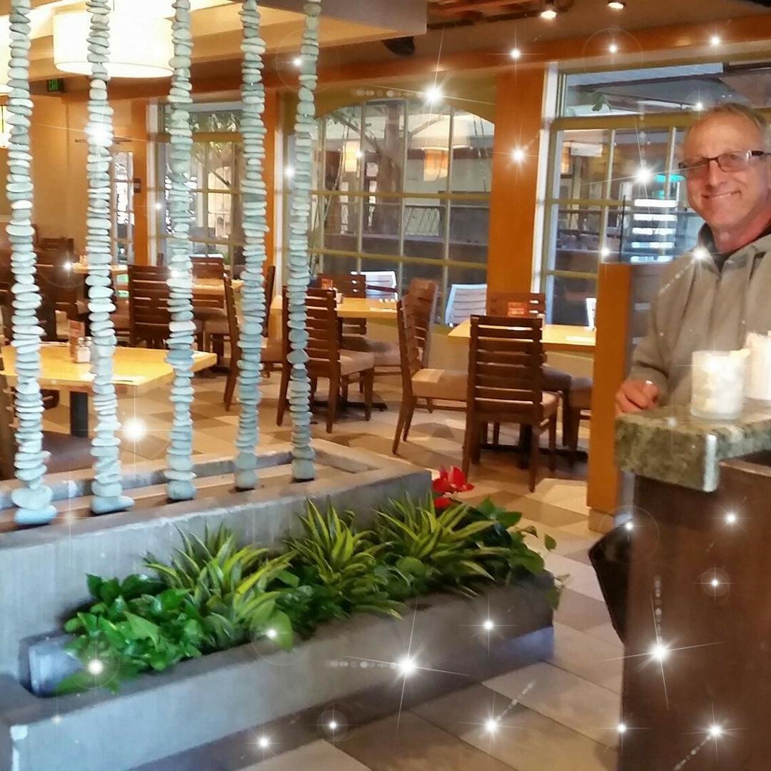 Hugo's planter box by Tropical West Designs a full service IndoorGardenCenters.com