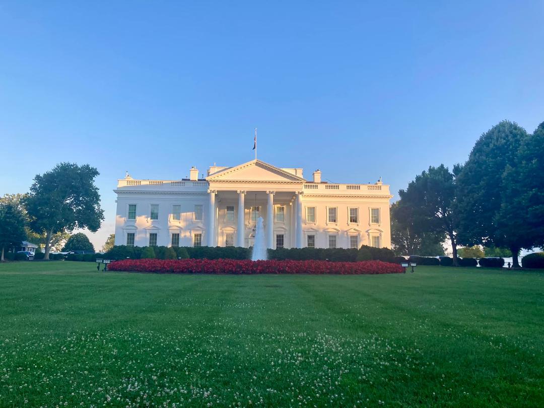 Got Lily sent off to Washington DC at 3am this morning and the photos are starting to roll in! ❤️