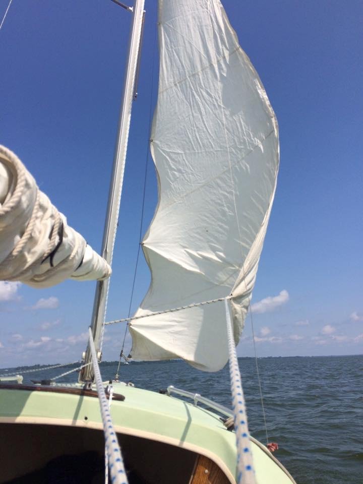 Ron Davidson's album, Mobile Uploads