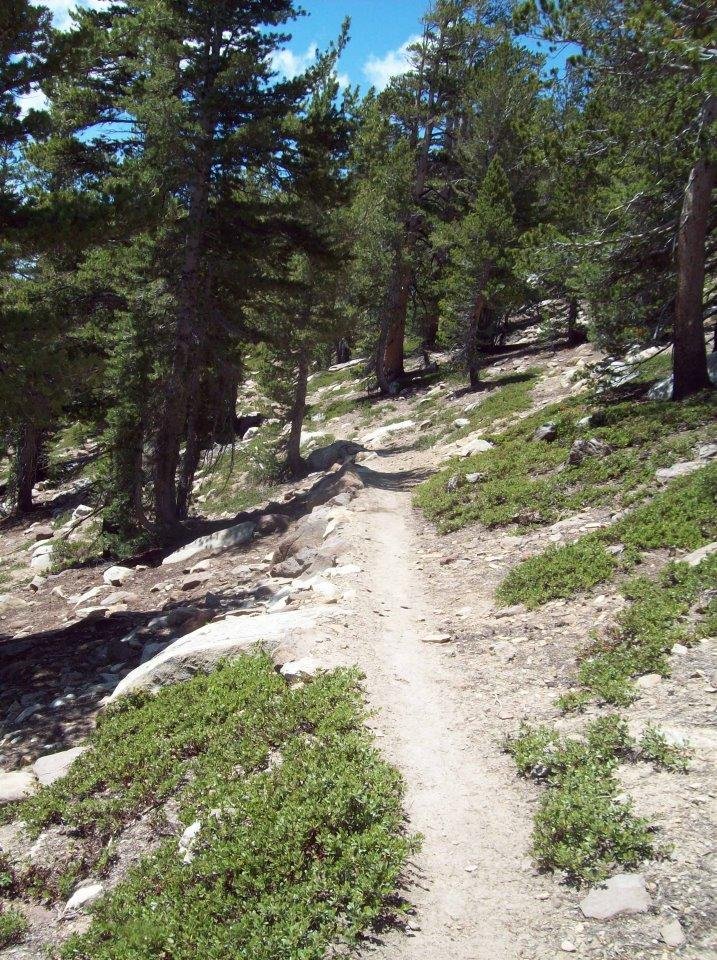 Todd Wagner's album, Pacific Crest Trail #5