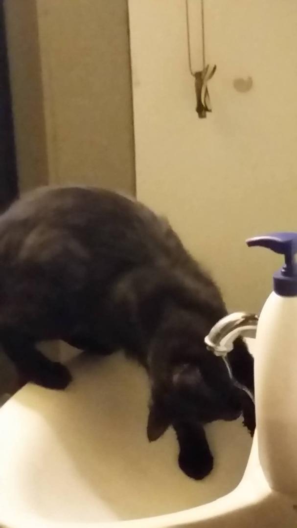He was was such a curious little dude, he's now a curious old dude 😄