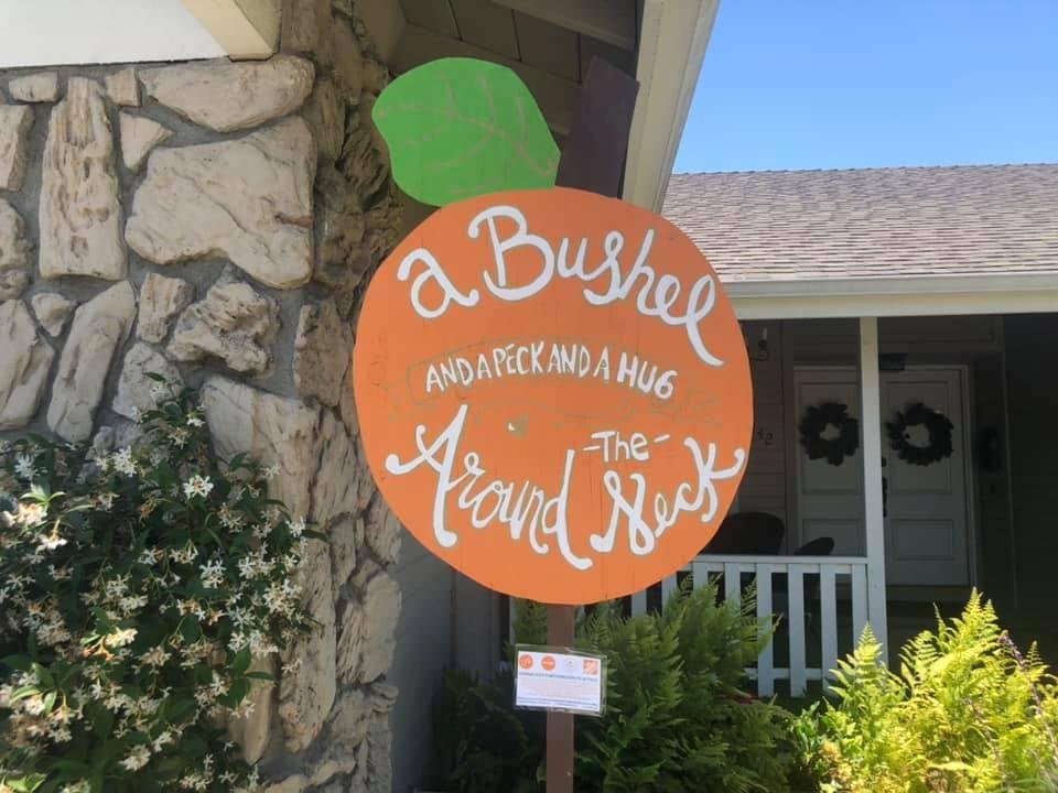 Robyn Kuester's album, Mobile Uploads