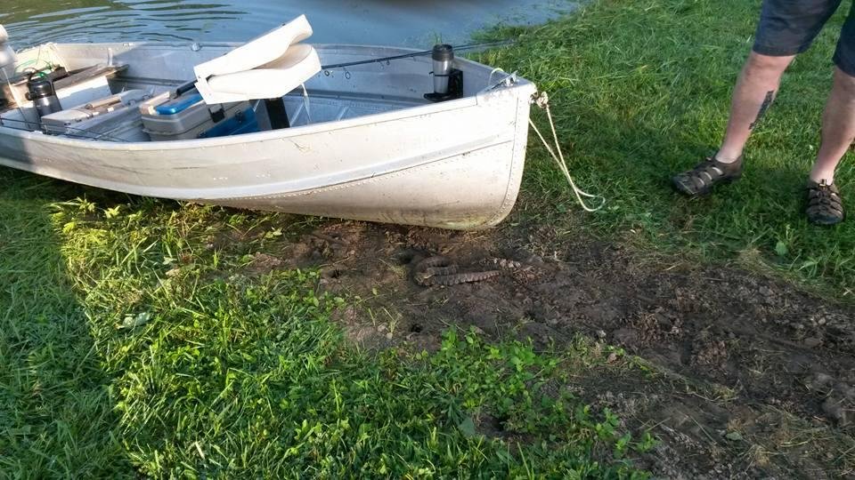 Paul and I went fishing yesterday but we did not invite this guy