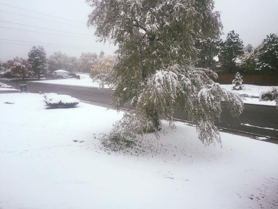 Welcome to winter, about 6 inches of snow so far and still snowing.