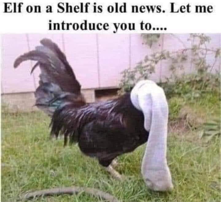 This one made me laugh today