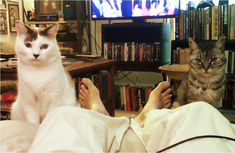 My pets. (I'm not taking photos of the roaches. They're not "pets.")
#AllAmericanPetPhotoDay