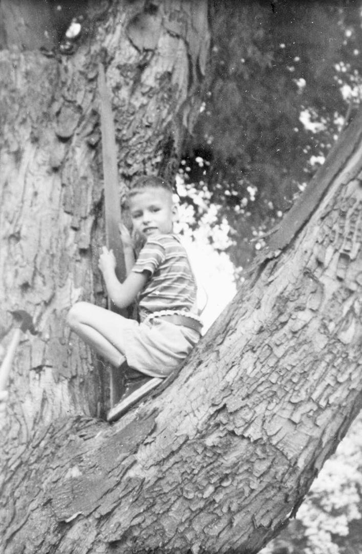 Prelude to a fall and a broken arm, which probably happened about a minute after this pic was taken. End of treehouse project. 1948.