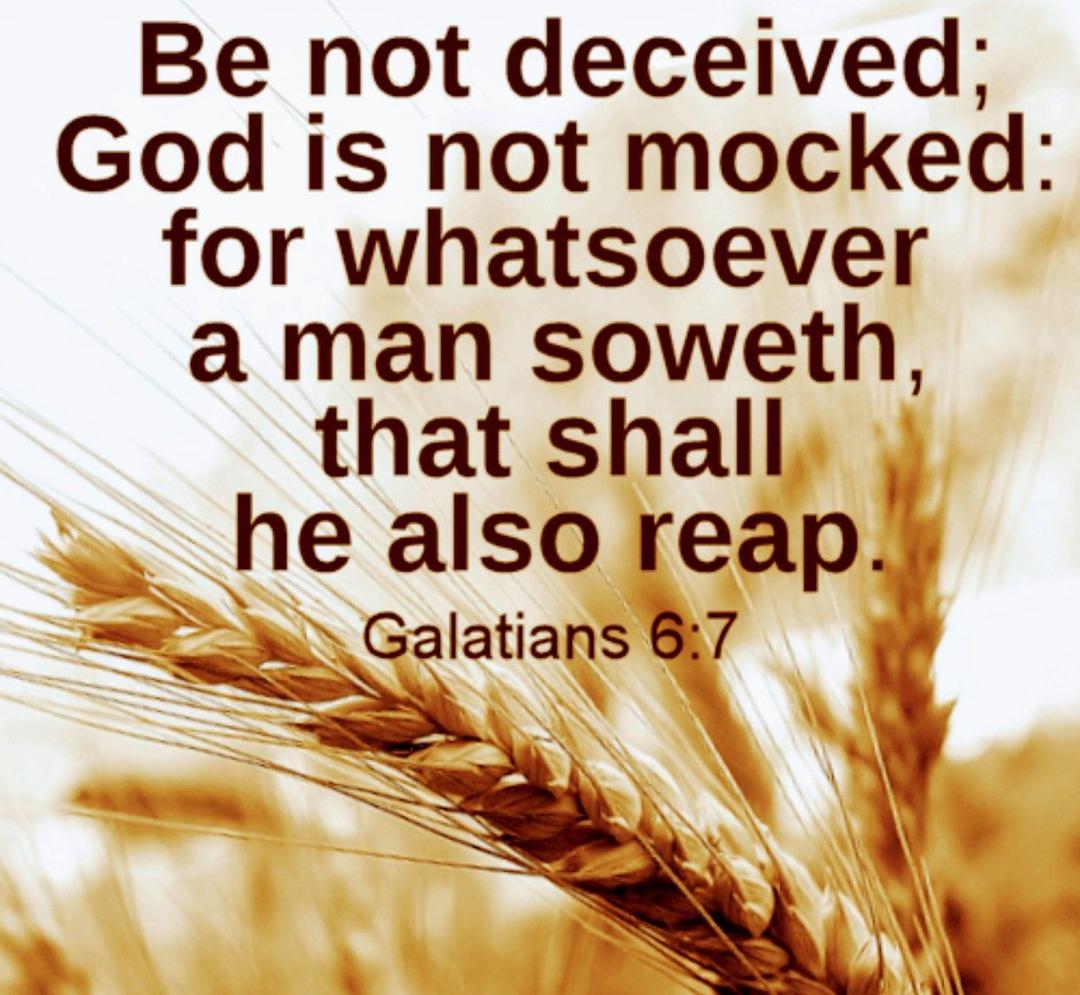 Traci Hess' album, Timeline photos