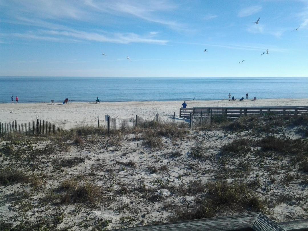 May have to find a new place. The beach is getting crowded! K