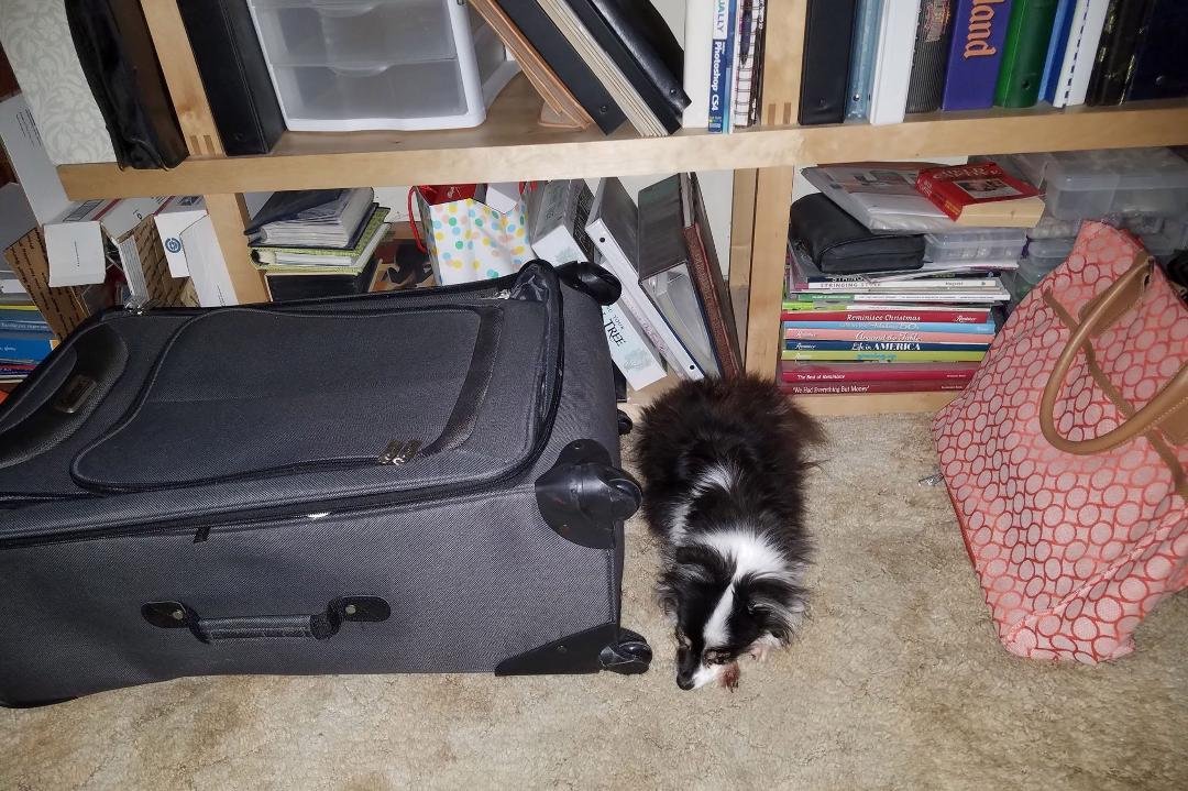 Oh geez, Cissy knows I'm leaving...