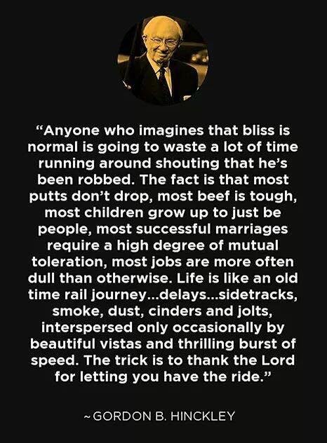 Very true. No wonder we're commanded to be grateful. God knows how rough it can be. If we have gratitude, it can help make things more tolerable.
