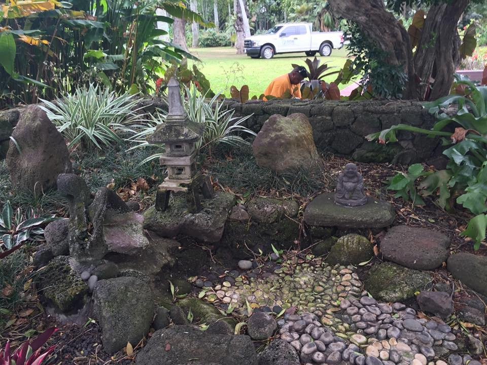 Fosters Botanical Gardens