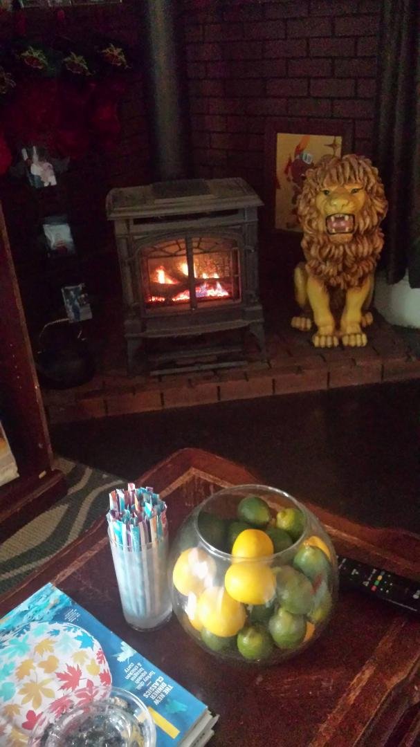Yes fireplace still works.