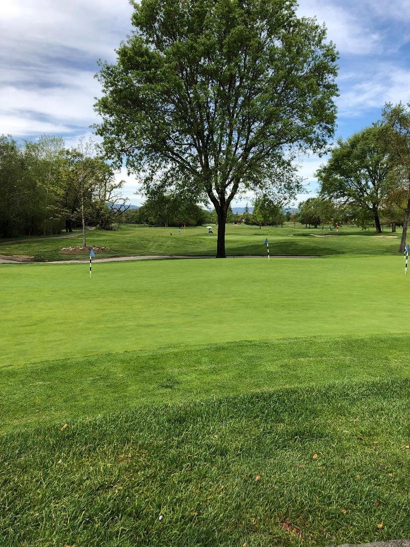 Happy place 🤩⛳️🏌🏻♂️