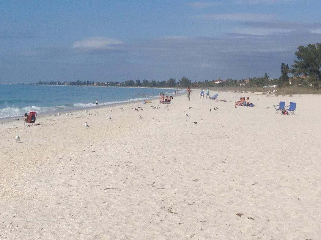 Nokomis beach