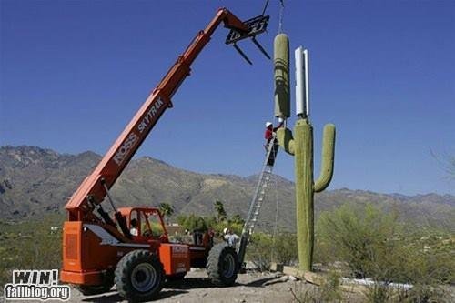 I miss Arizona and their crafty ways.