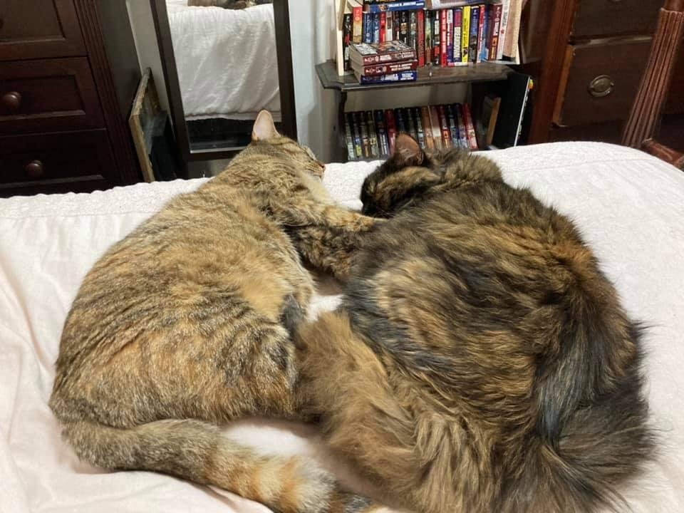My babies