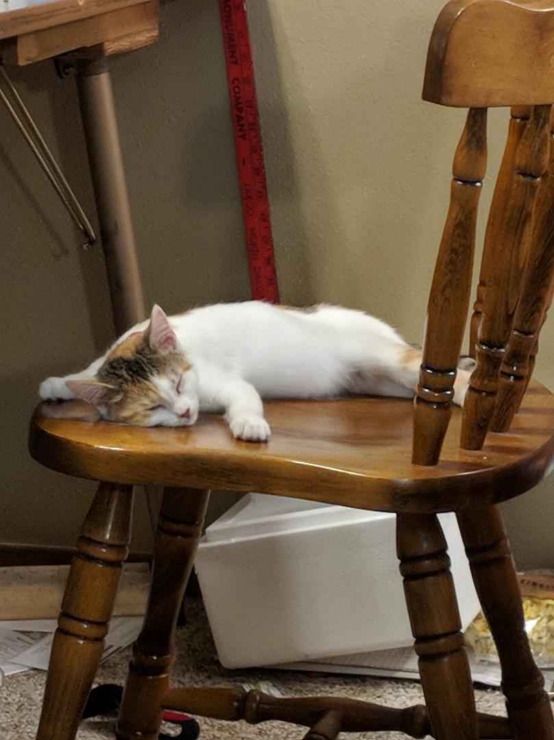 How would you caption this?