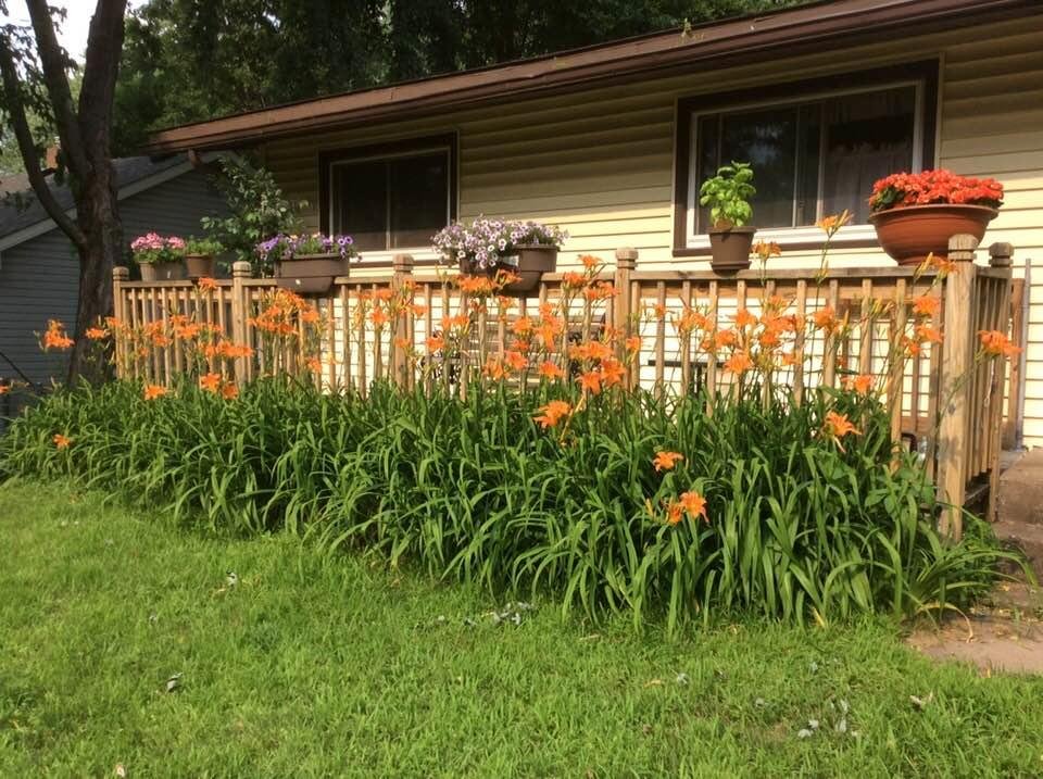 My front deck today!