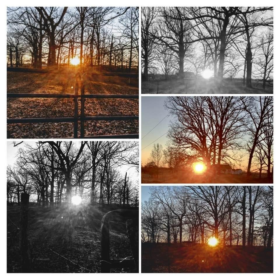 Sunrise pictures taken a couple days ago !