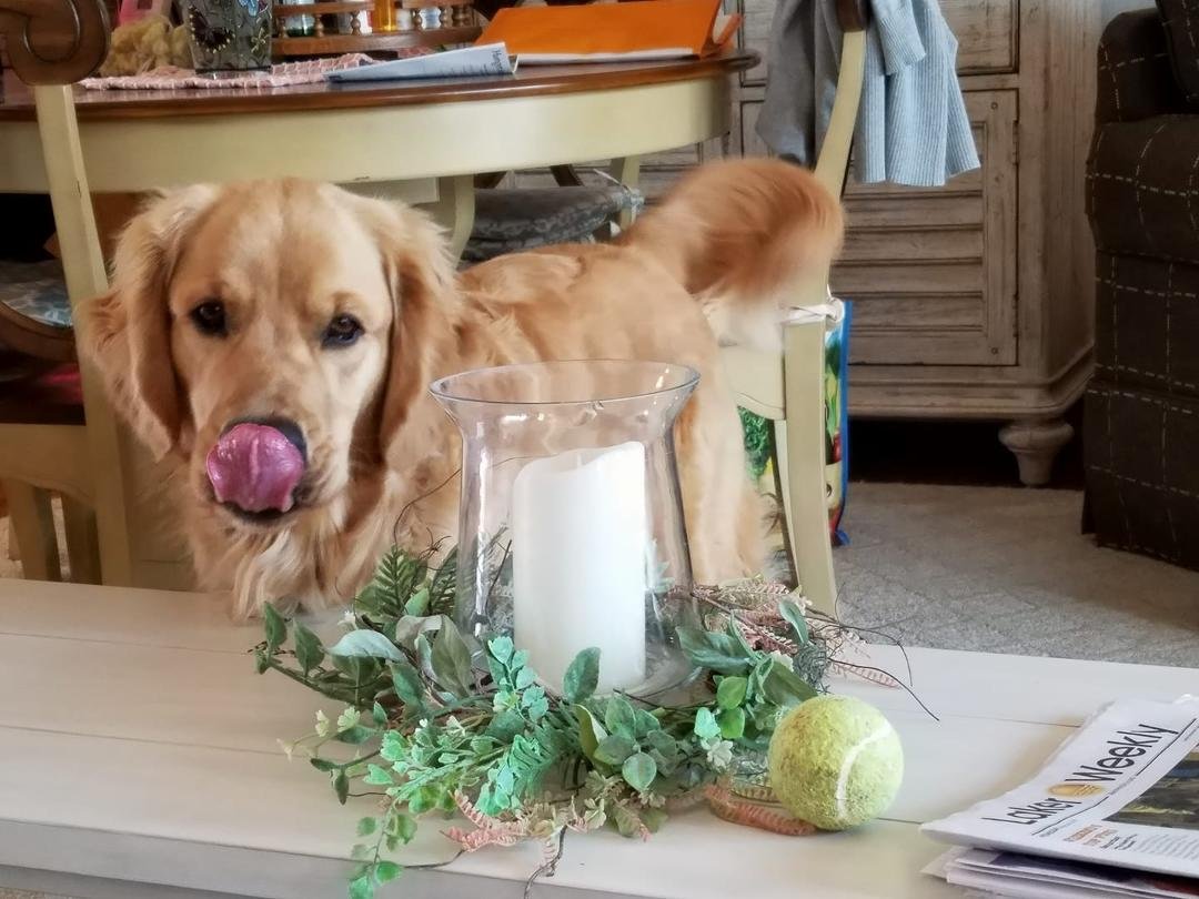 That ball sure looks good !