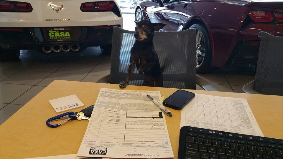 Work has been so busy everyone and thing is buying cars today