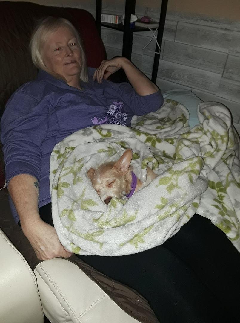 Last month while still recuperating from this winter's nasty viruses with my new pup Hunney. Lizzie is getting quite proficient with the camera.