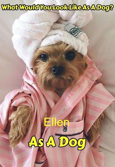 At least I'm cute!