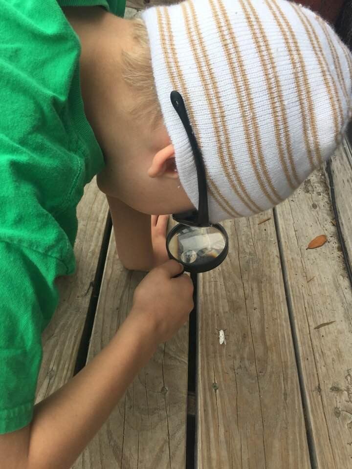 Ezaier is checking out nature