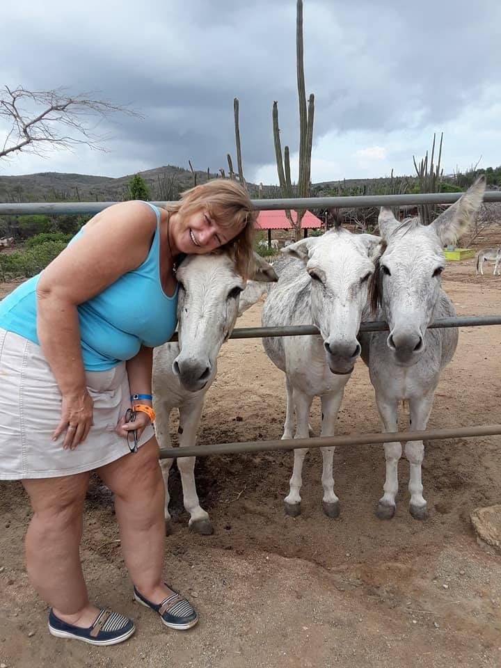 No trip to Aruba is complete without a stop to the Donkey Sanctuary.