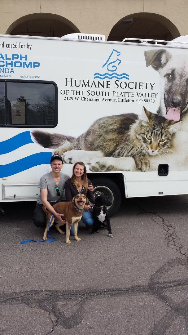 I want to thank Riley's for hosting HSSPV today as well as the handlers who came to help. Hershey went to a new home today.