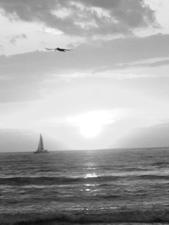 I’ve been nominated by Diane Hamel.
Seven days, seven black & white photos of your life. No humans, no explanation.
Day 5
I nominate Jo-Anne Baxter